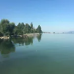 Rose 巴拉通雷勒