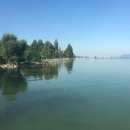 Rose Balatonlelle